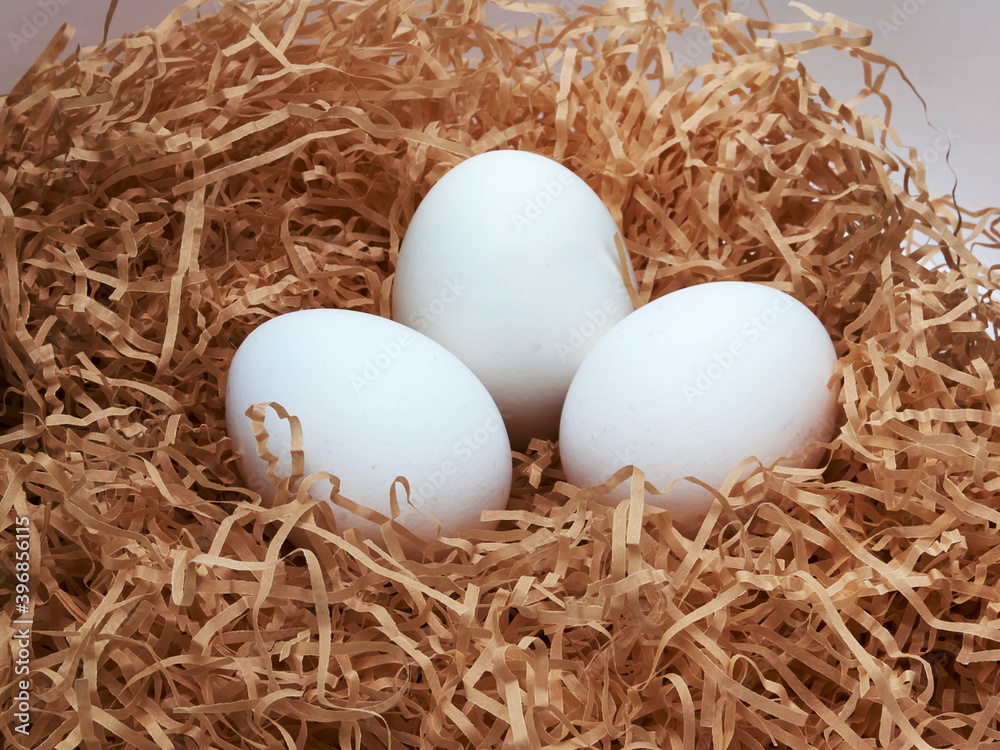 white chicken eggs in a nest of grass white chicken eggs in a nest of grass