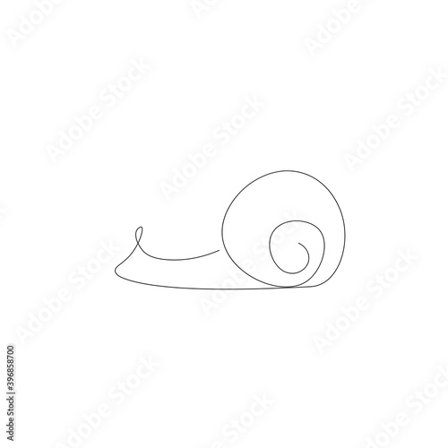 Snail animal line drawing on white background. Vector illustration