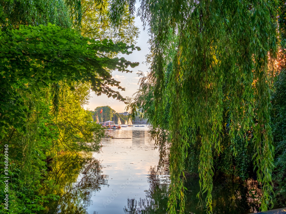 Hamburg Alster Lake life during summer time Hamburg Alster Lake life during summer time