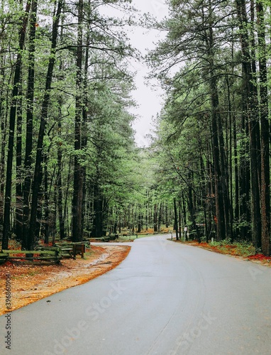 Umstead Park, Raleigh North Carolina  photo