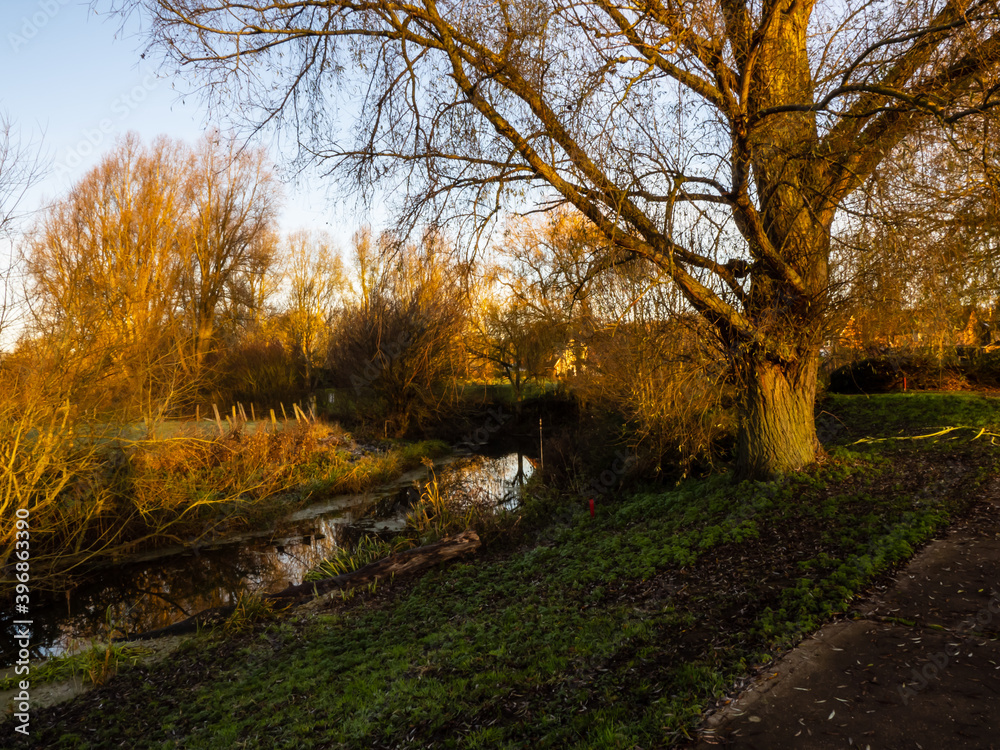 Fototapeta premium THE GREEN HOLE 5 IN THE MORNING 