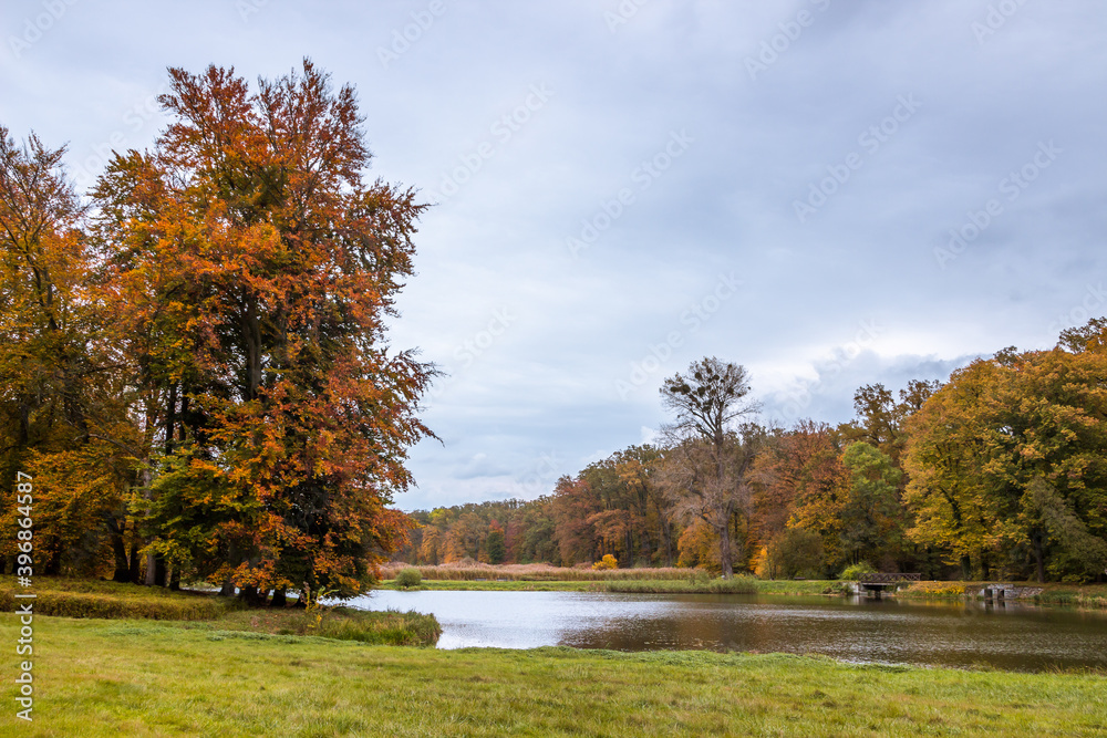 Autumn trees alley with colorful leaves in the park Autumn trees alley with colorful leaves in the park