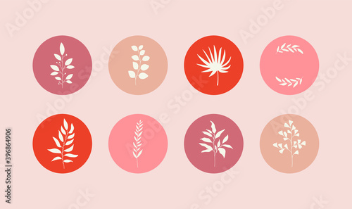 Feminine flower story highlight covers. Abstract leaf branch icons for social media hand drawn boho style. Vector illustration