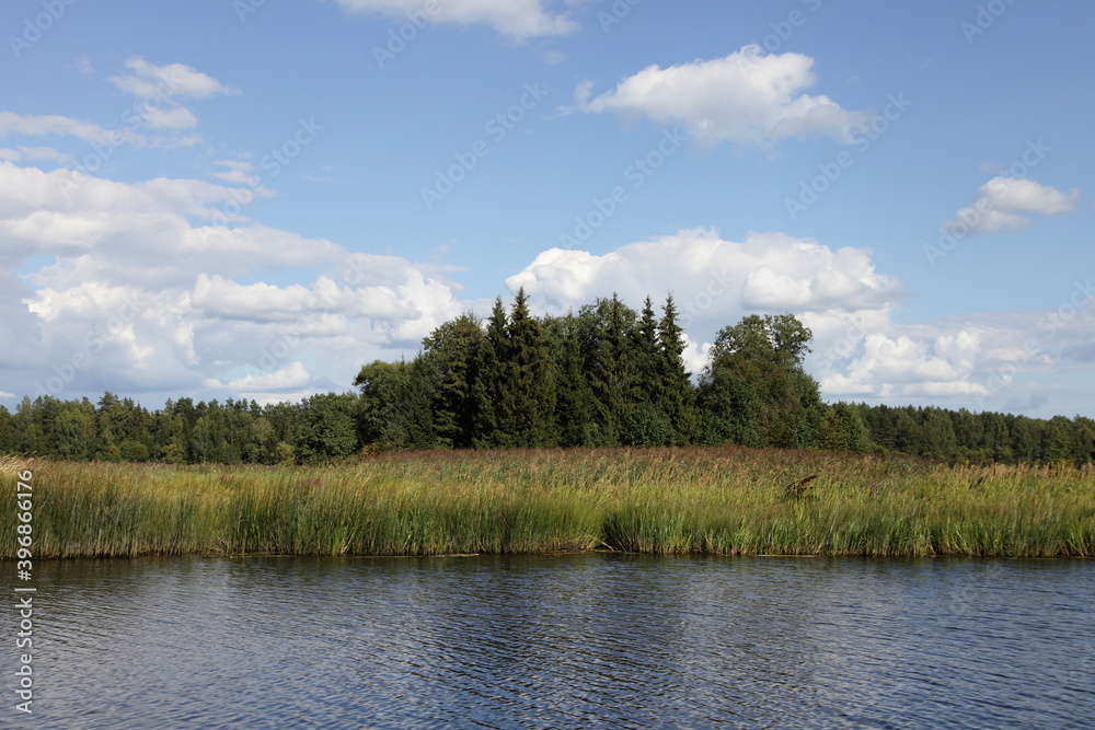 Midddle Russia riverscape, shore with beautiful green trees with reflection in calm water on blue sky with white clouds background at summer day, scenery Russian natural landscape view from water