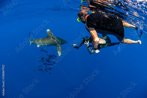 Snorkelers swimming close to a longimanus shark