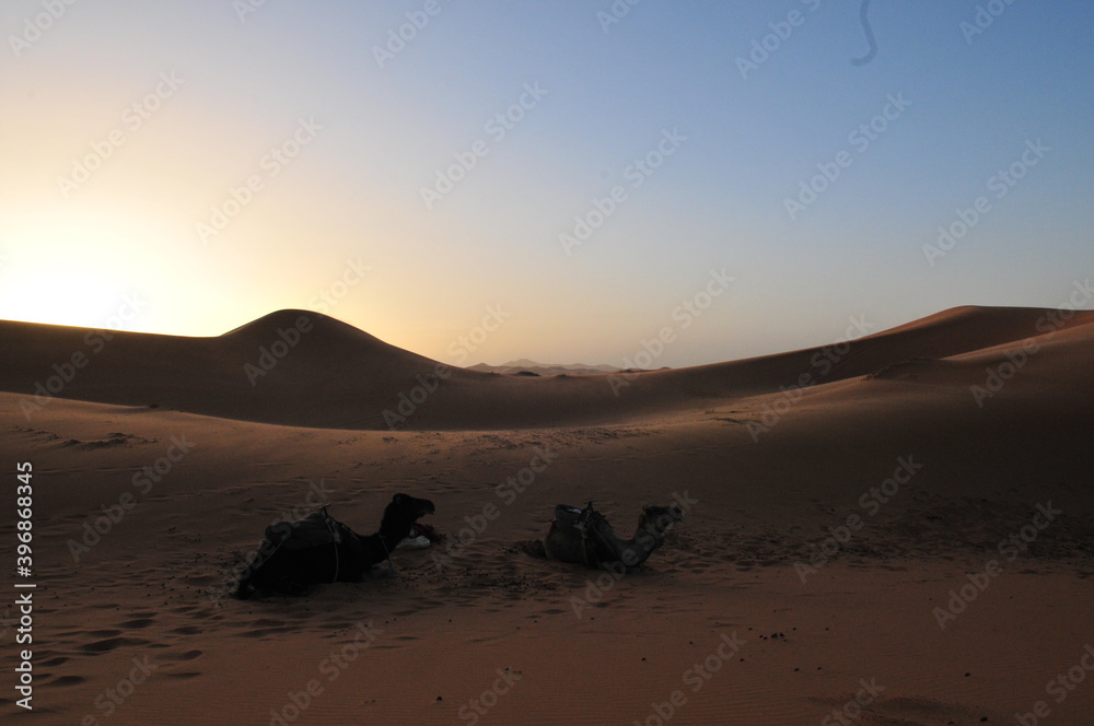 Sunrise over the Sahara desert, Merzouga, Morocco