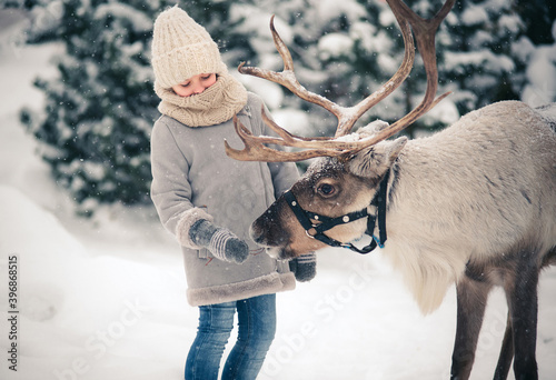 A little girl feeds a horned reindeer in the winter forest. Christmas snow tale photo