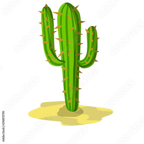 Cactus in the desert. Big Mexican plant. Green succulent. Element of the southern tropical summer landscape. Flat cartoon illustration