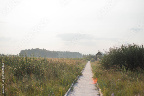 Trail in Polesie National Park, wooden footbrigde and tower through swamps on the trail Czahary, early morning, birdwatching in Poleski Park Narodowy photo