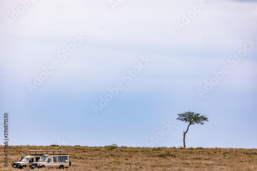 Land cruiser Under Tree Landscape Kenyan Grassland Wilderness Maasai Mara National Game Reserve Park Great Rift Valley Narok County Kenya East African Landscapes Field Mountains Scenic Views  photo