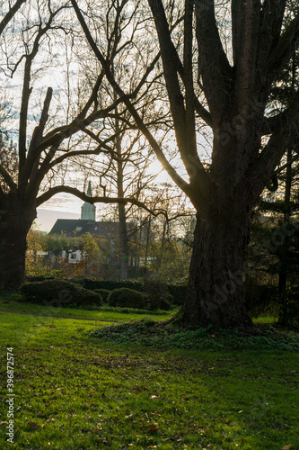 Baum im Vordergrund   Kirche im Hintergrund © Thiemo H.