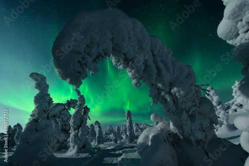 Winter night scenery, natural scenery of the Arctic region, popular travel destination. photo