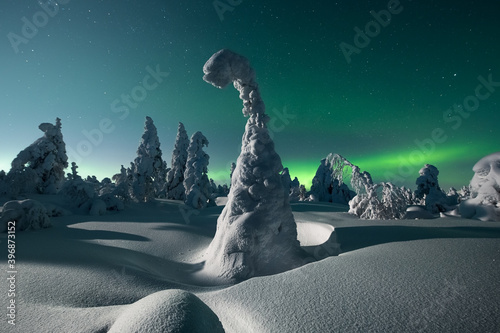 Winter night scenery, natural scenery of the Arctic region, popular travel destination.