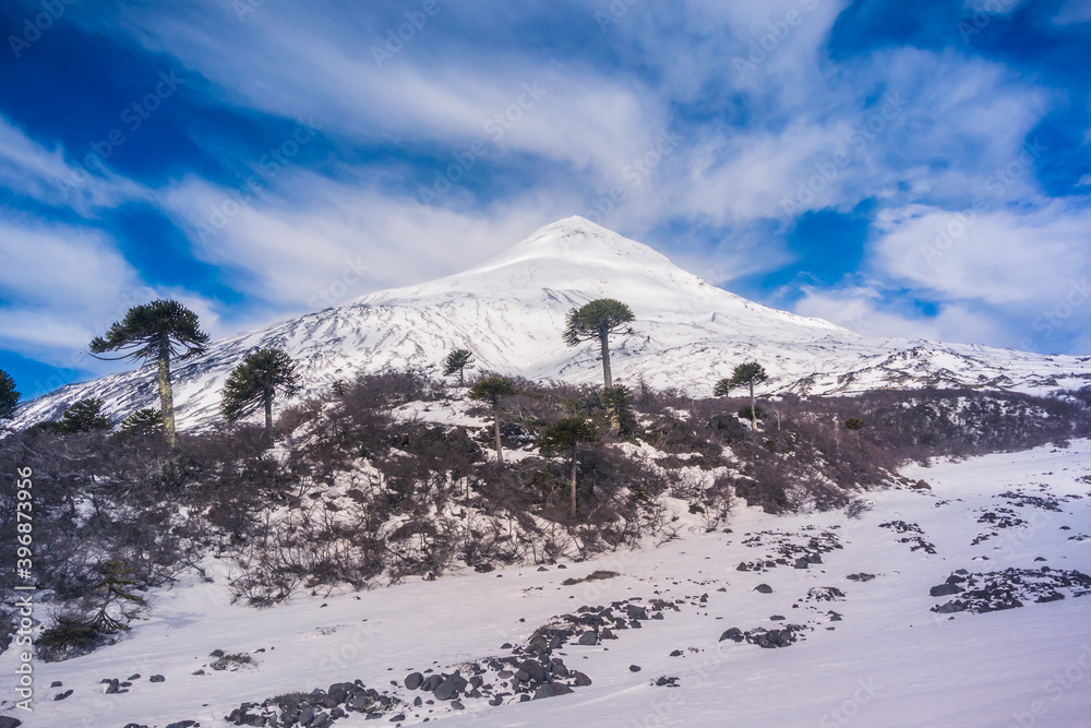 Lanin Volcan National Park, Pucon Chile.