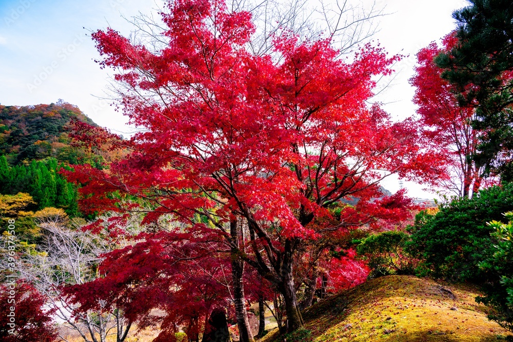 渓石園の紅葉
