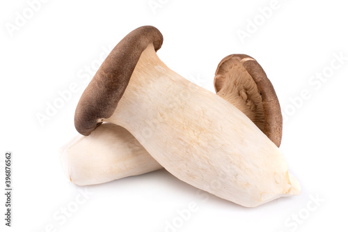 Pleurotus eryngii mushrooms on white background