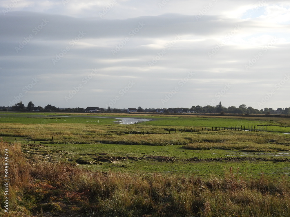 Floodplain meadows close to the bay