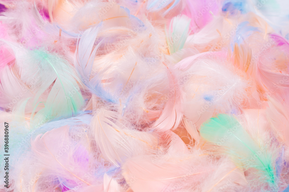 Colorful feather background, top view.