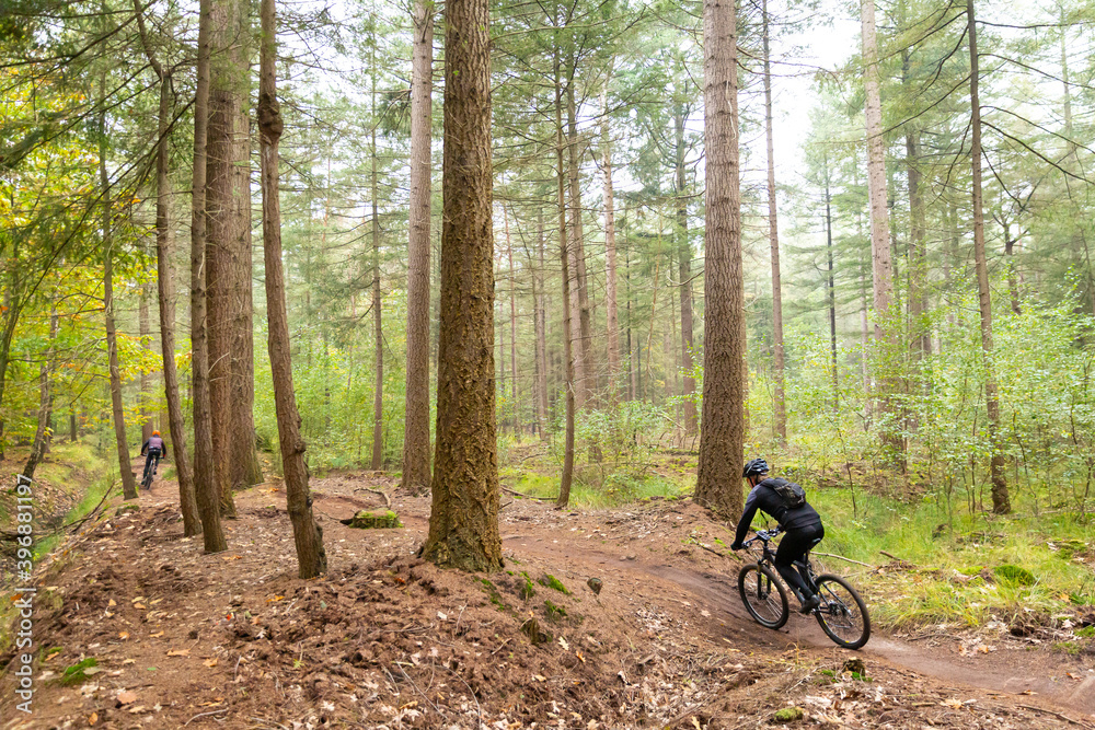 Fototapeta premium two mountianbikers cycling in the forst in november