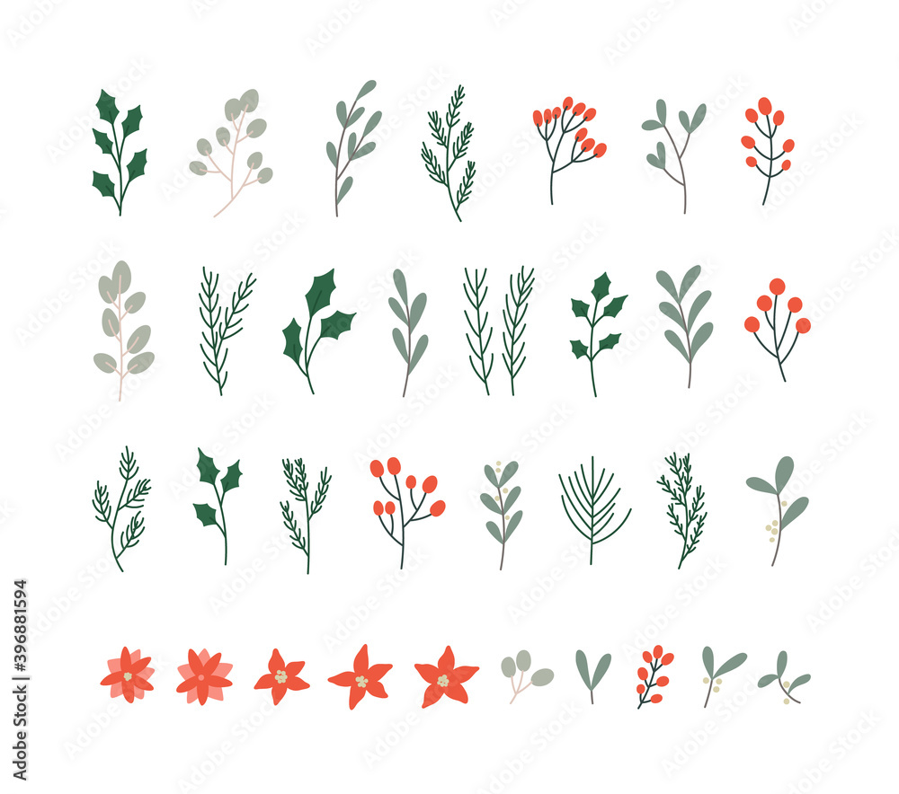 Vector illustration of winter plants: holly berry, mistletoe, poinsettias, pine, cedar, blue spruce. Hand-drawn Christmas plants set in bright colors . Suitable for postcards, invitations, web design.
