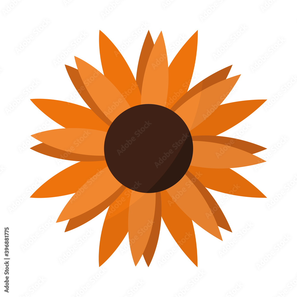 Naklejka premium autumn sunflower of a orange color