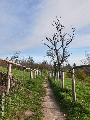 path in the countryside