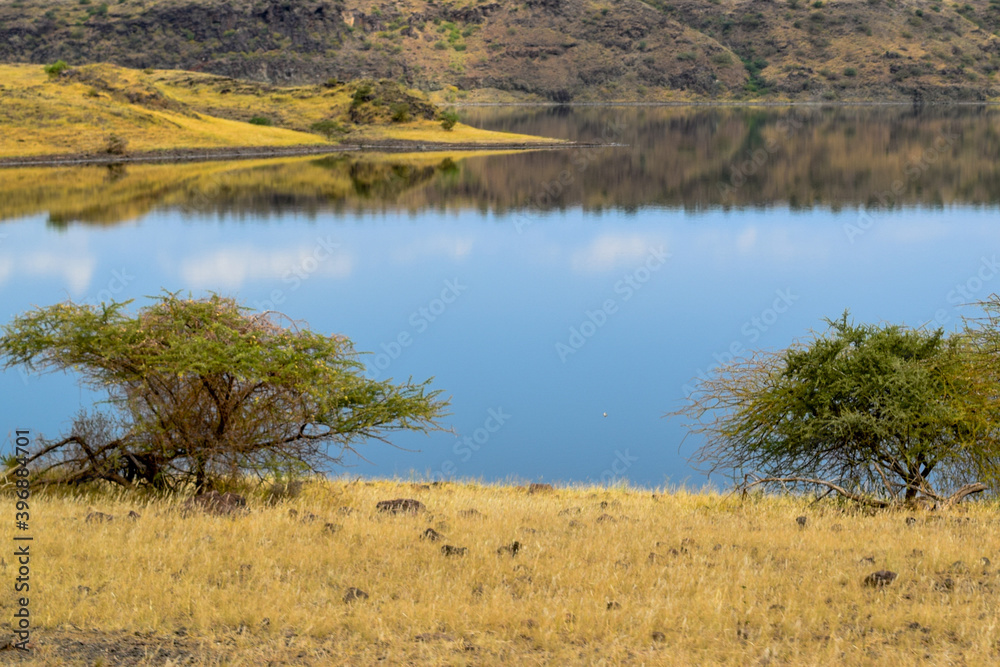 Panoramic view of an oasis in the arid landscapes of rural Kenya Panoramic view of an oasis in the arid landscapes of rural Kenya
