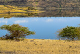 Panoramic view of an oasis in the arid landscapes of rural Kenya