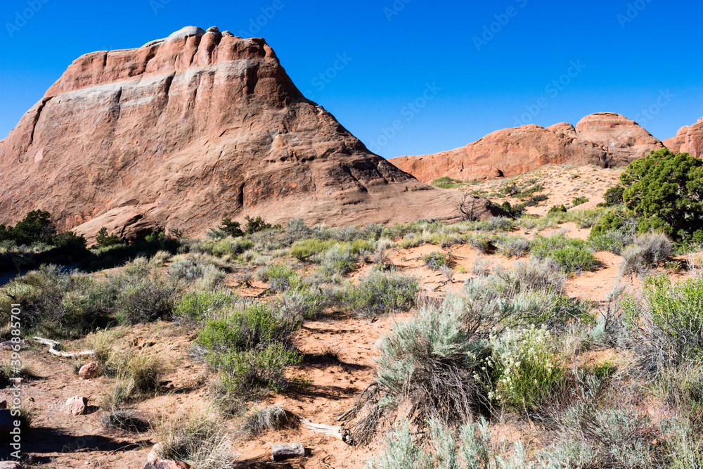 View from the Devils Garden trailhead in Arches National Park - Utah, USA View from the Devils Garden trailhead in Arches National Park - Utah, USA