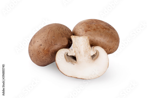 Champignon Mushroom isolated on white background