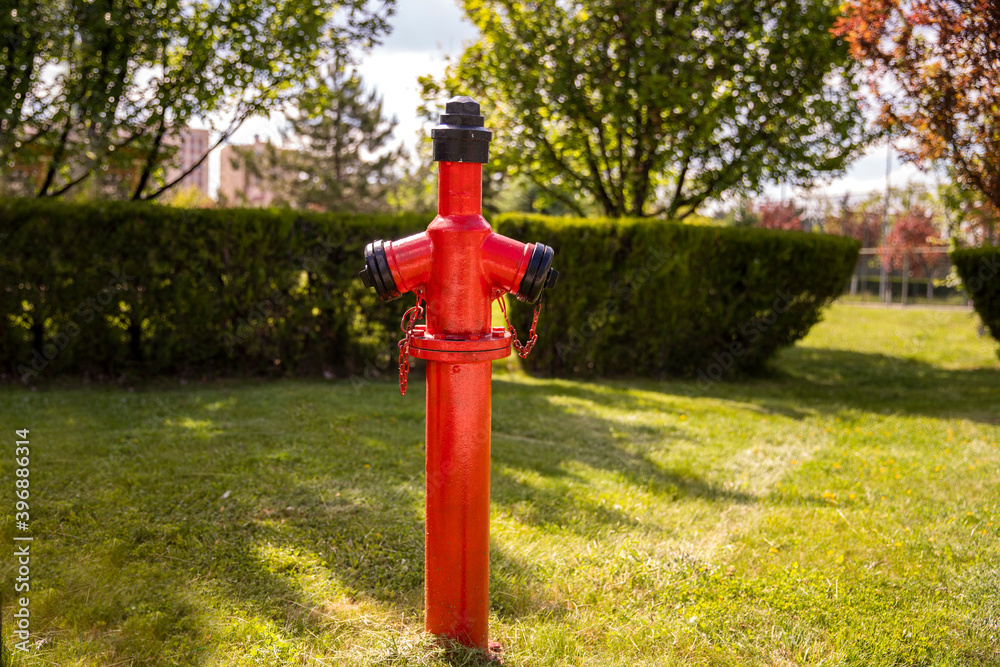 Red metal fire hydrant placed on the lawn in the garden in daylight Red metal fire hydrant placed on the lawn in the garden in daylight
