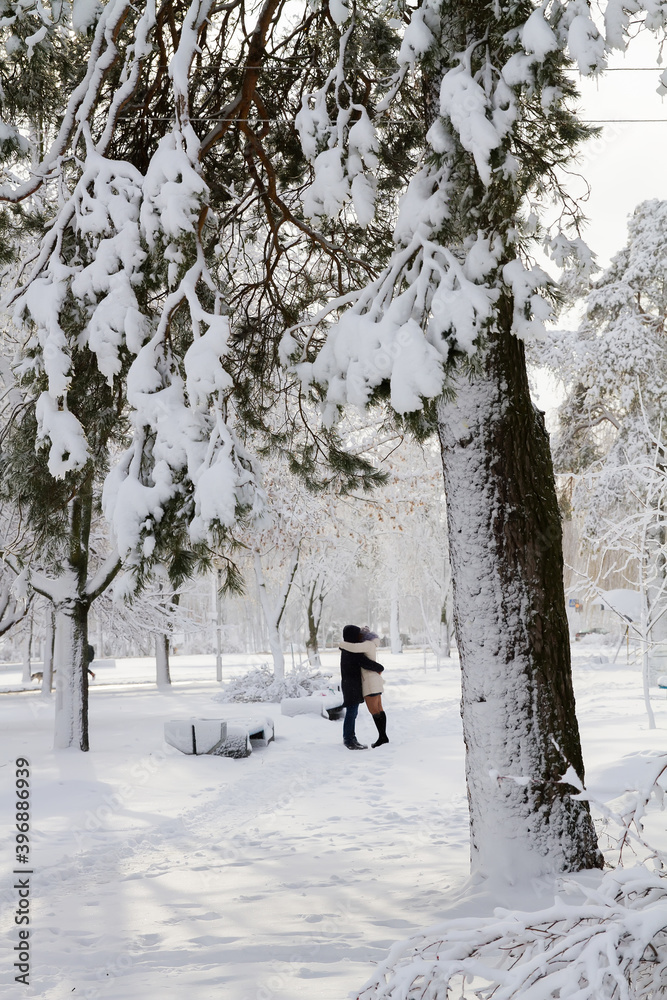 Young people kiss under the snow trees on the path in the Park in winter. The Blizzard brought a lot of snow and snow drifts. Winter city and people. Young people kiss under the snow trees on the path in the Park in winter. The Blizzard brought a lot of snow and snow drifts. Winter city and people.