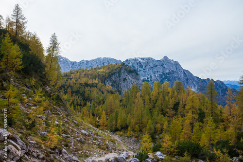 Beautiful autumn for hike in the mountains. Triglav national park in Kranjska Gora, Slovenia. © 24K-Production