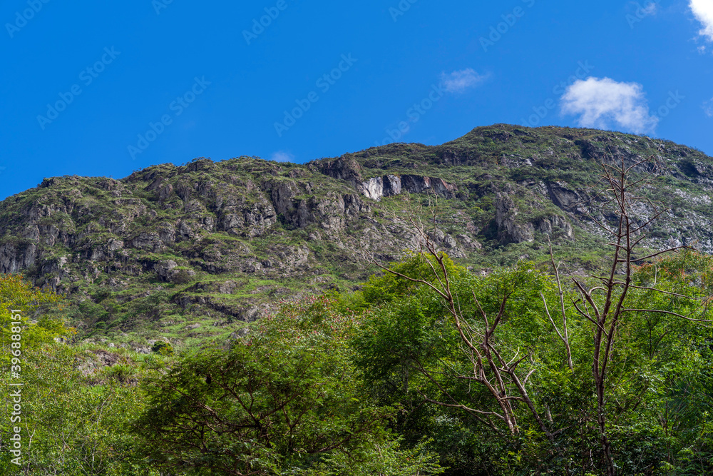 A beautiful green landscape of a mountain