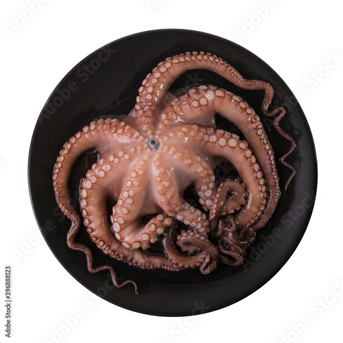 Octopus in a black plate isolated on white background