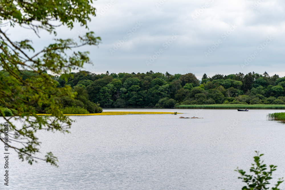 Φωτογραφία Ross lake, boats and kayaks, Killarney National Park, County Kerry, Ireland near Castle Ross