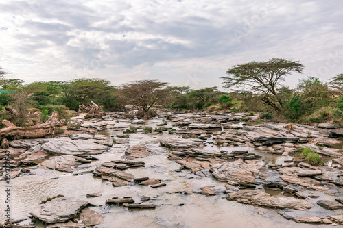 Talek River Mara Wildlife Animals Grazing Savanna Grassland Wilderness Maasai Mara National Game Reserve Park Great Rift Valley Narok County Kenya East African Landscapes Field Mountains Scenic Views photo