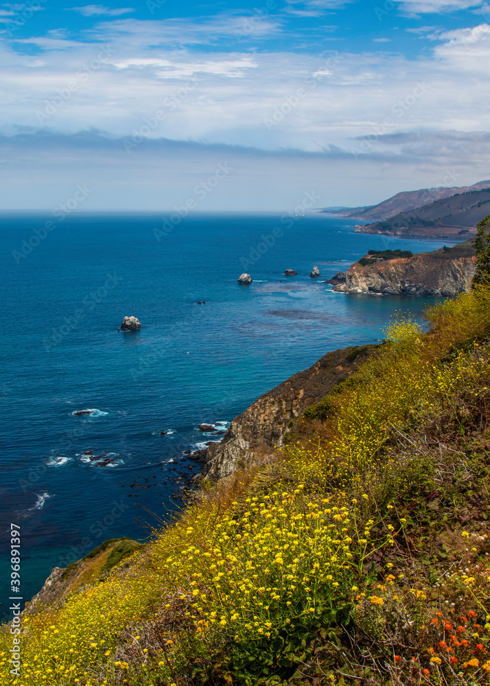 Fototapeta premium View from the Pacific Coast Highway overlook with flowers and waves crashing onto the shore