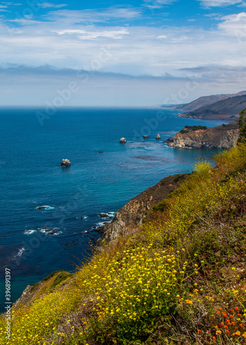 View from the Pacific Coast Highway overlook with flowers and waves crashing onto the shore