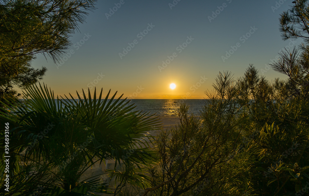 View of sunset in Black Sea through the leaves of palm tree. Autumn sunny evening in Sochi. Atmosphere of rest and relaxation. View of sunset in Black Sea through the leaves of palm tree. Autumn sunny evening in Sochi. Atmosphere of rest and relaxation.