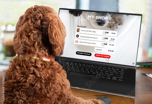 Smart dog ordering products using an online shopping website. Pet themed shopping card summary or checkout screen. Concept for E-commerce, shop online and home delivery. Selective focus.