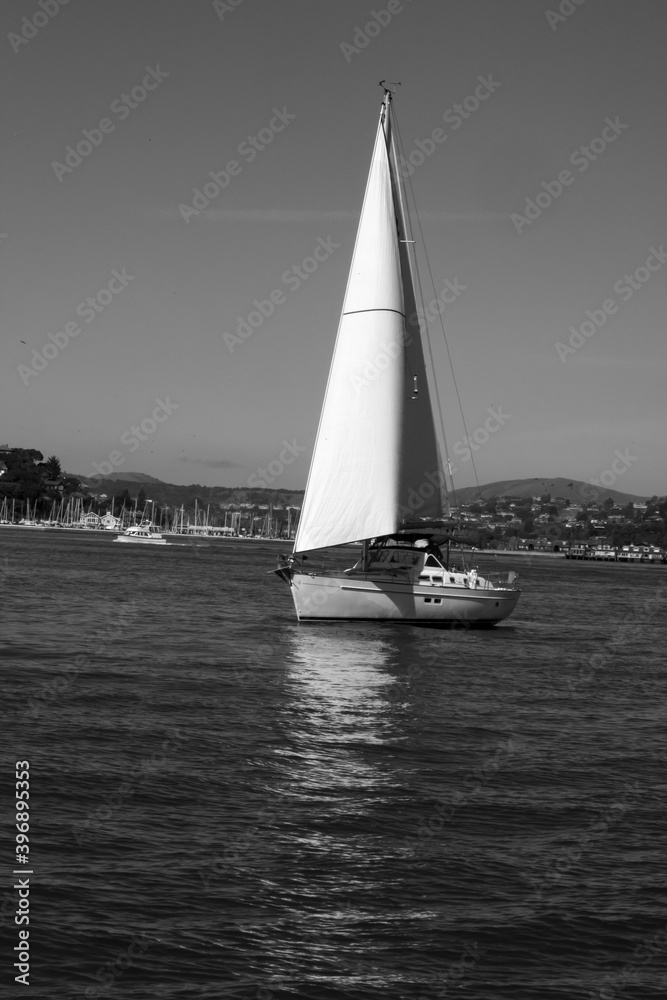 Sailboat in the bay