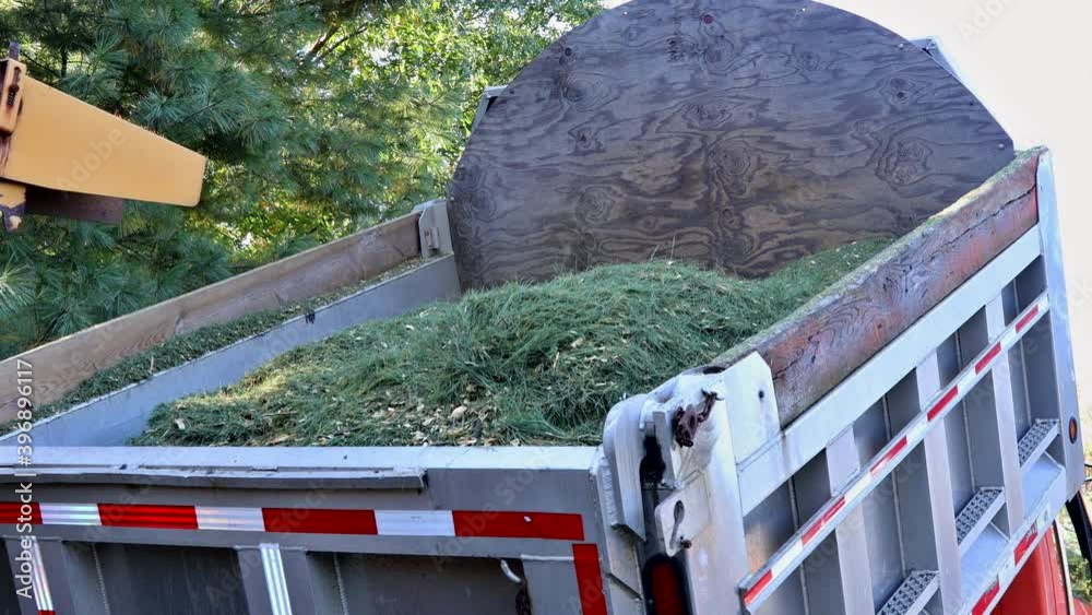 Grinding machine to become chip grinded tree branches for mulching the soil in the garden