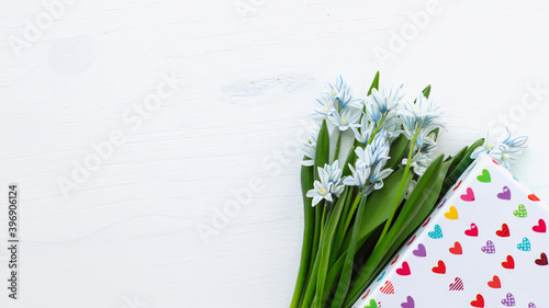 bouquet Fresh blue spring flowers Scilla siberica and gift box. Copy space. 8 march, mother's day, St. Valentine spring background