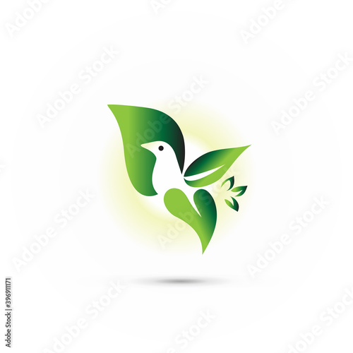 Logo bird leaf flying symbol vector