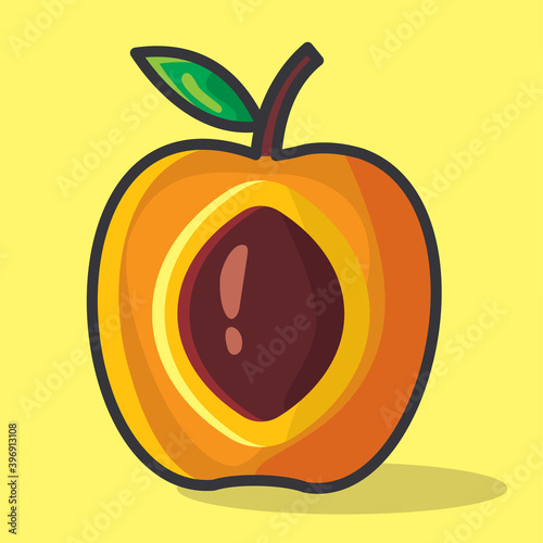 apricot fruit slice vector illustration in flat style