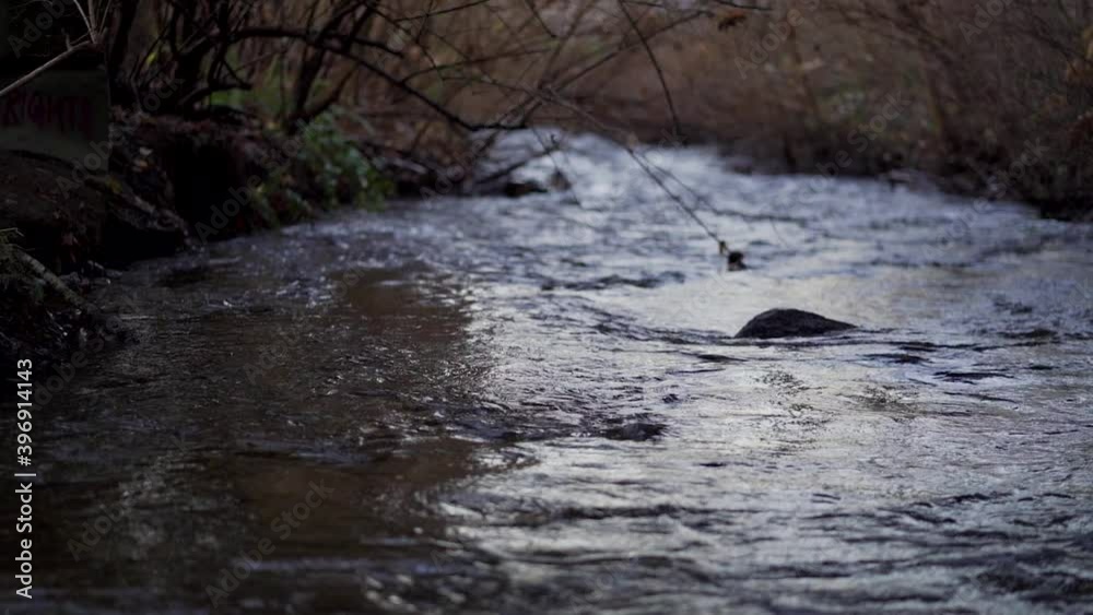 Small Creek at dusk shot in slow motion. Slow movement. Small Creek at dusk shot in slow motion. Slow movement.