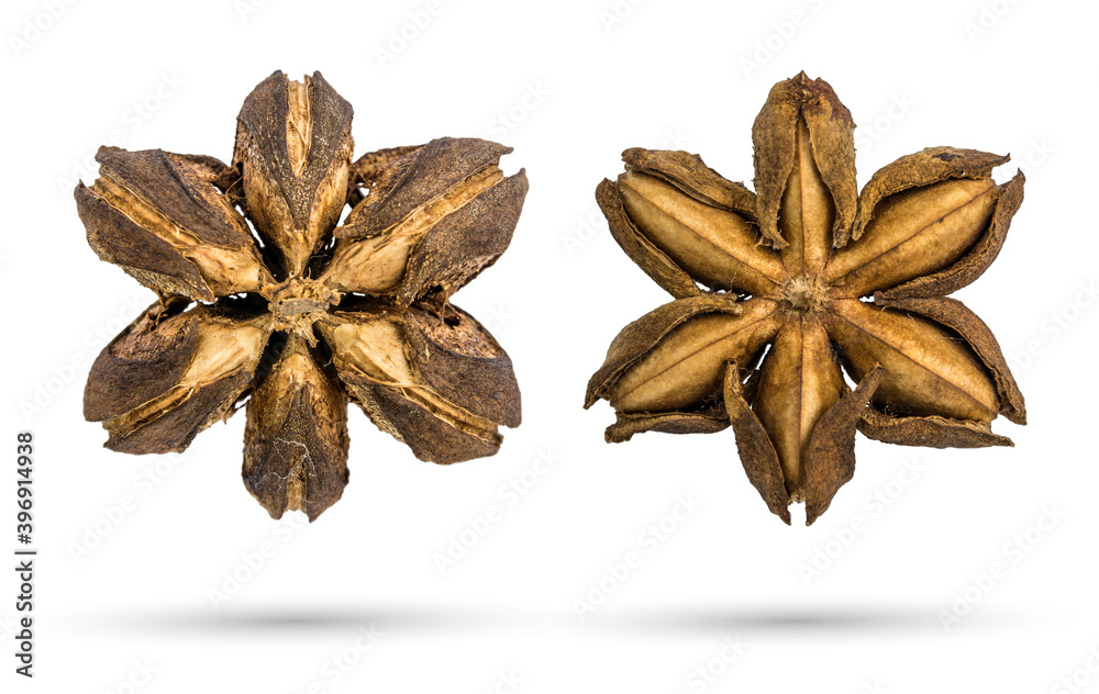 Front and back of dry seed of Sacha inchi, Sacha peanut, or Mountain peanut (Plukenetia volubilis) isolated on white background with clipping path Front and back of dry seed of Sacha inchi, Sacha peanut, or Mountain peanut (Plukenetia volubilis) isolated on white background with clipping path