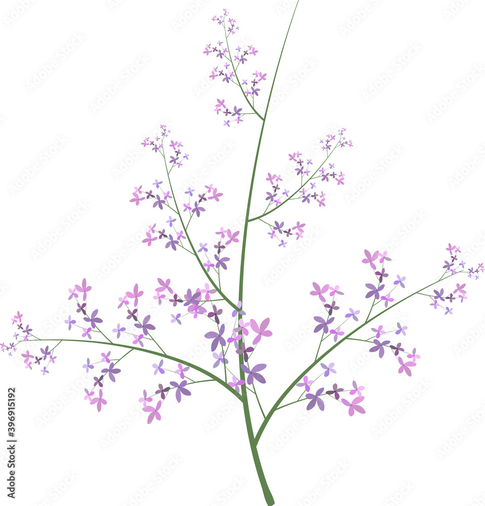 小さな花が咲いている木の枝のイラスト