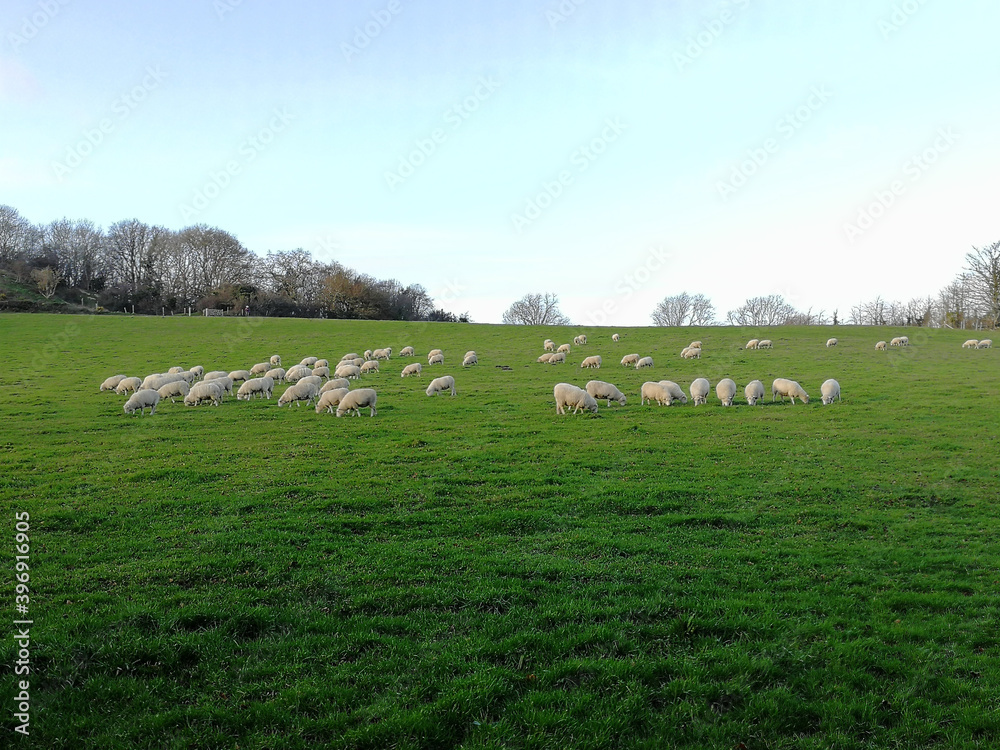 Obraz premium going around Dorset, Bristol and Wiltshire